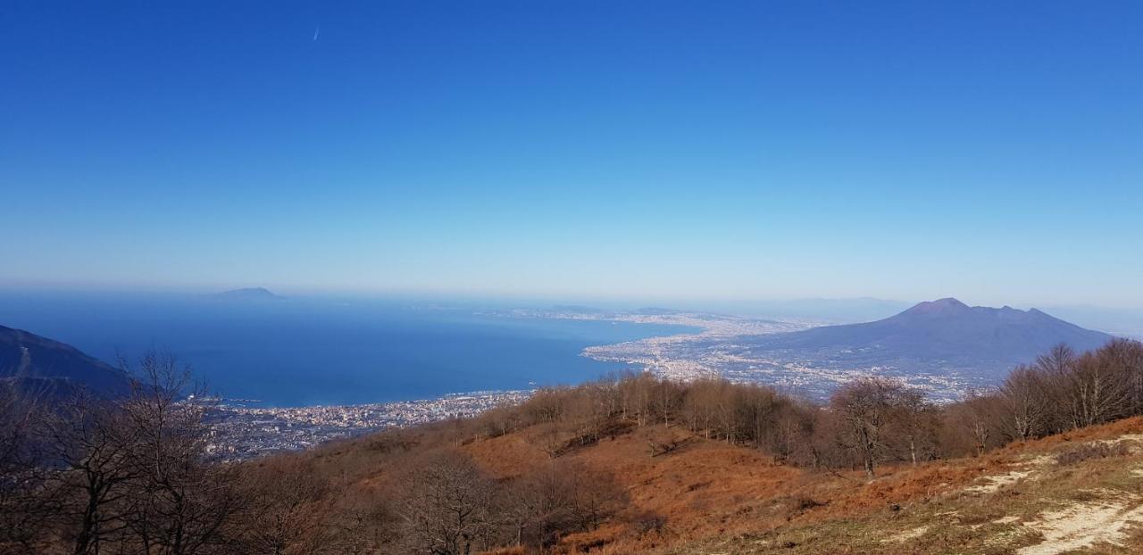 Willa Apicella Casa Vacanze Tramonti Zewnętrze zdjęcie