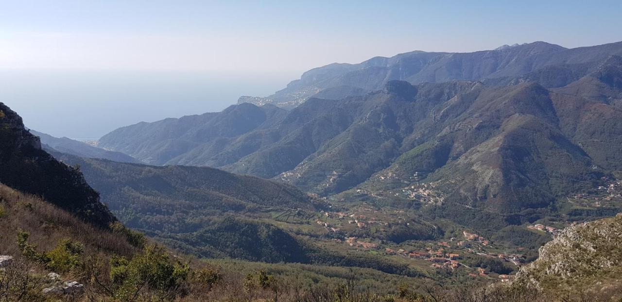 Willa Apicella Casa Vacanze Tramonti Zewnętrze zdjęcie