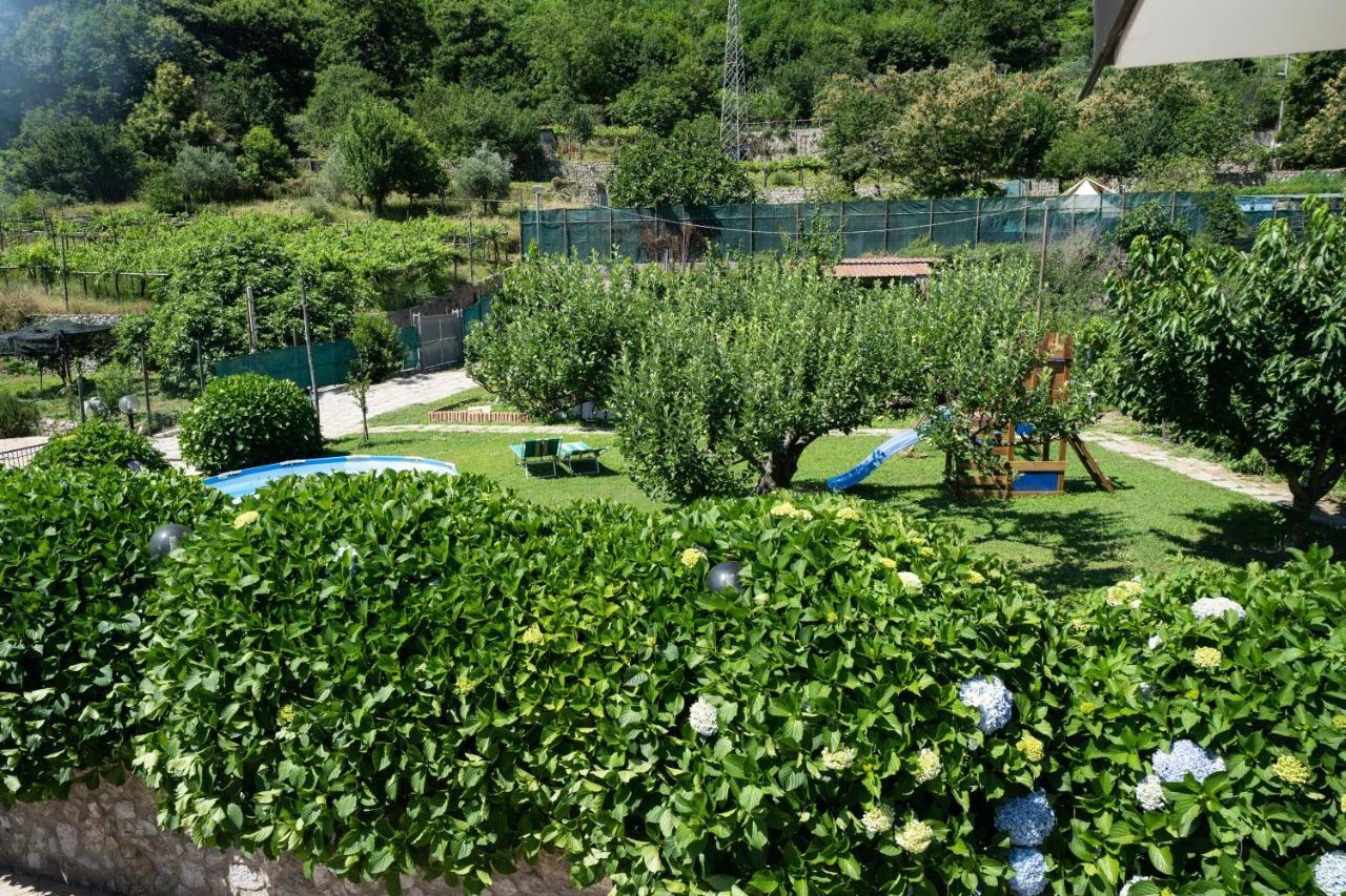 Willa Apicella Casa Vacanze Tramonti Zewnętrze zdjęcie