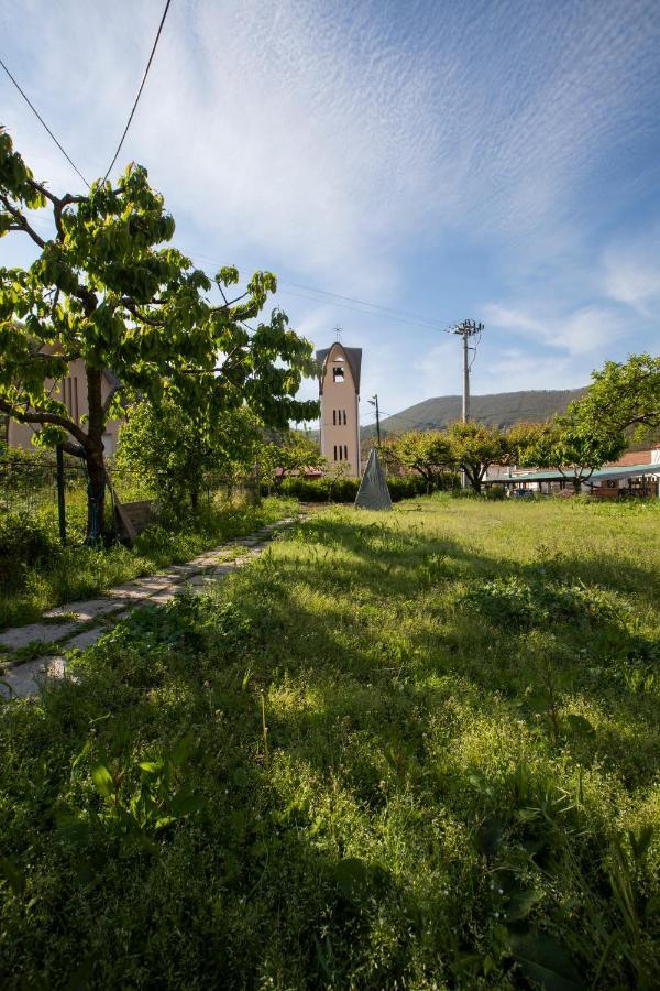 Willa Apicella Casa Vacanze Tramonti Zewnętrze zdjęcie
