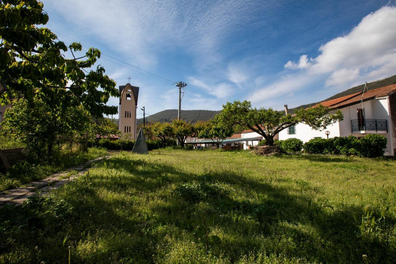 Willa Apicella Casa Vacanze Tramonti Zewnętrze zdjęcie