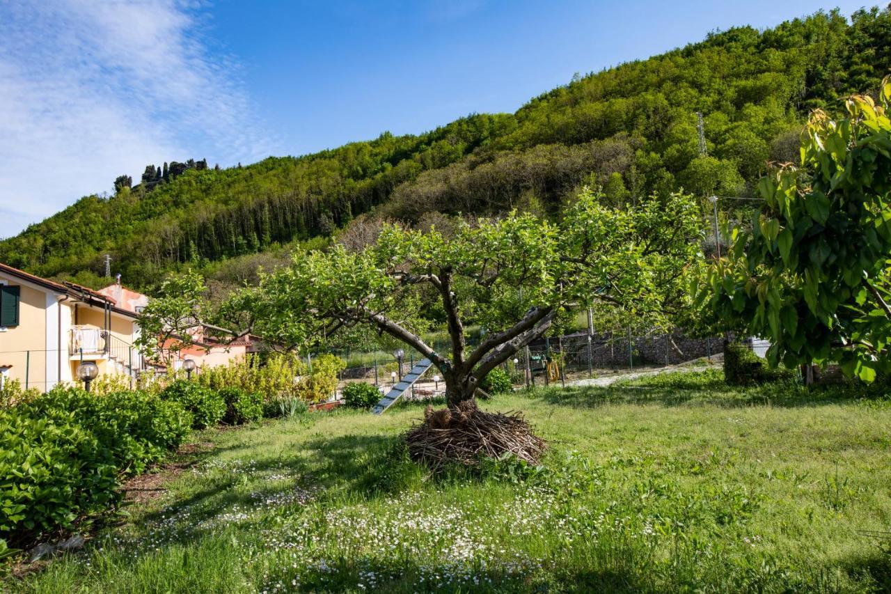 Willa Apicella Casa Vacanze Tramonti Zewnętrze zdjęcie